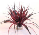 Augalas plastikinis Amazonia 22cm
